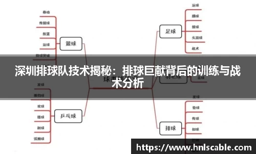 熊猫体育：深圳排球队技术揭秘：排球巨献背后的训练与战术分析